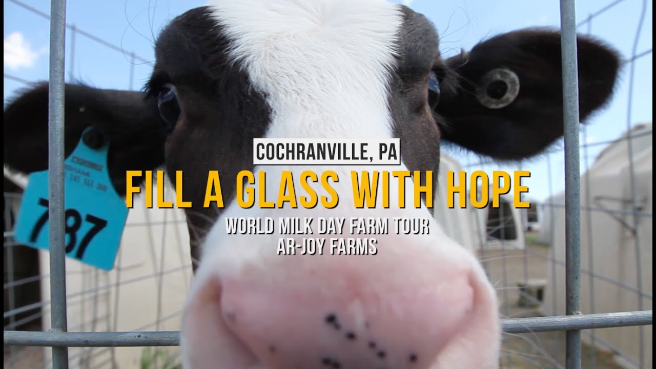 World Milk Day - Fill A Glass With Hope