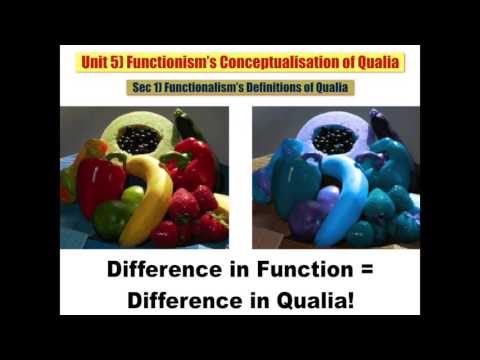 Sec 1 Functionalism’s Definitions of Qualia