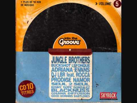 dj lbr feat rocca.wmv