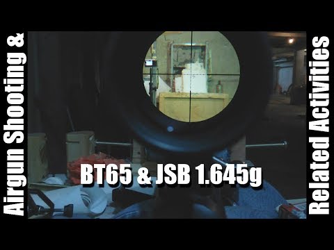 JSB Exact Jumbo Monster 1.645g, Hatsan BT65