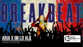 Download lagu DJ ARIA X IM LO ALE mp3