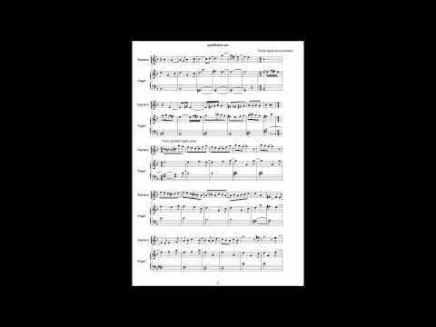 André Le Gall - "Trois dames..."Flûte à bec et Orgue positif