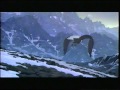 Opening To The Lion King 1 1 2 2004 VHS