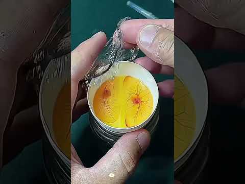 He Found a Giant Egg in a River… What Hatched 30 Days Later Shocked Everyone #animals#Friendship #Us