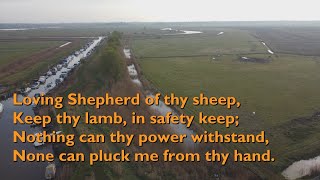 Loving Shepherd of Thy Sheep (Tune: Buckland - 5vv)  [with lyrics for congregations]