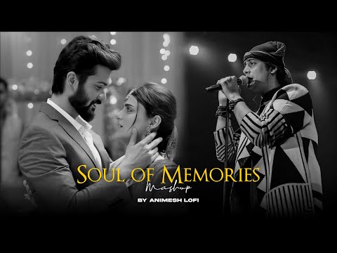 Soul Of Memories Mashup | Dhal Jaun Main x Hairaani | Heartbreak Chillout | Animesh Lofi
