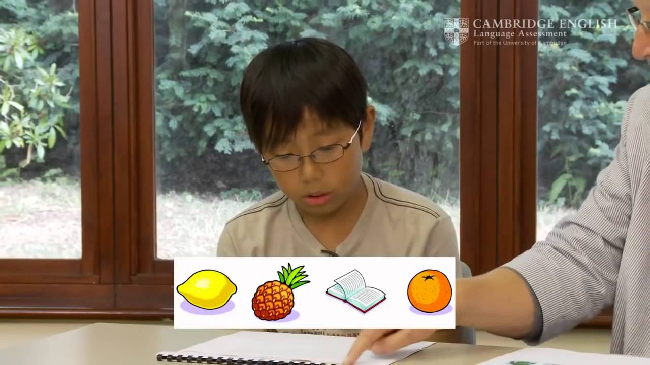 Cambridge YLE  A1 Movers Speaking Exam