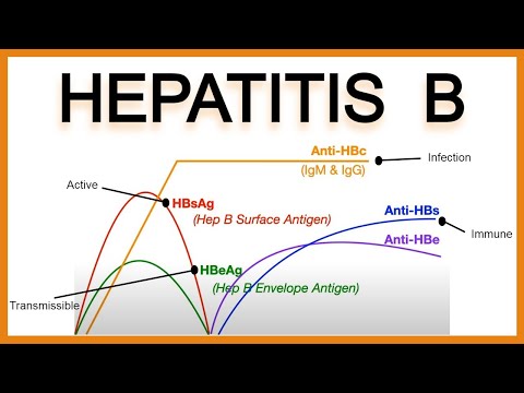 Hepatitis B Serology/Interpretation