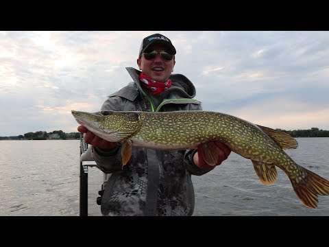 Tips for Catching Northern Pike in the fall