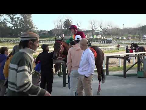 11/08/2023 – Hipodromo Las Piedras – Carr 7 – REY VICTORIOSO (2019)