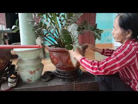 Symplectic Topology and Floer Homology Contact Geometry