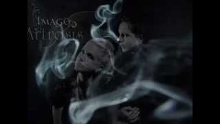 Artrosis - Fatalne Przeznaczenie (album Imago 2011)