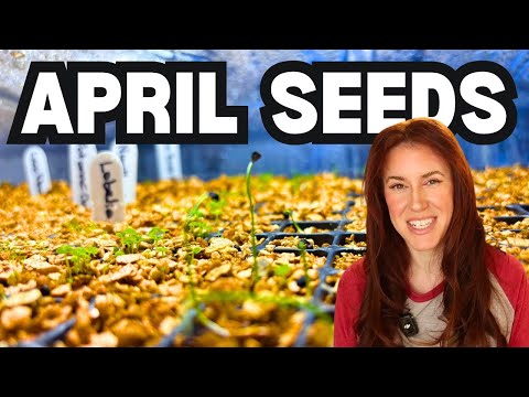 Unlock April's Prime Planting Window Now!