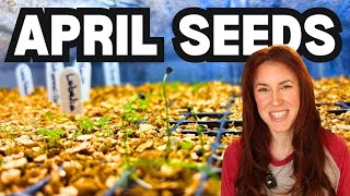 DO NOT MISS These April Seeds To Plant!