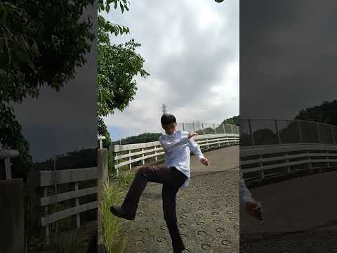 宮拳法カーフキック