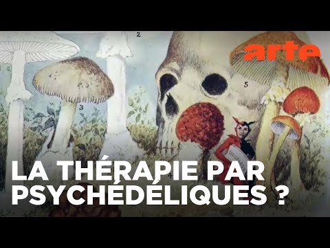 Psychédélique | La science des expériences mystiques | ARTE