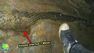 Download lagu Cursed!! The World's Largest Snake Turned to Stone After Doing This in a Cave in Thailand... mp3 Download lagu Cursed!! The World's Largest Snake Turned to Stone After Doing This in a Cave in Thailand... mp3