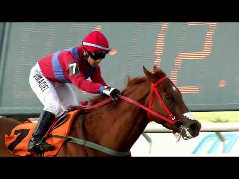 221125 c04 - 1° TIRANOS TEMBLAD