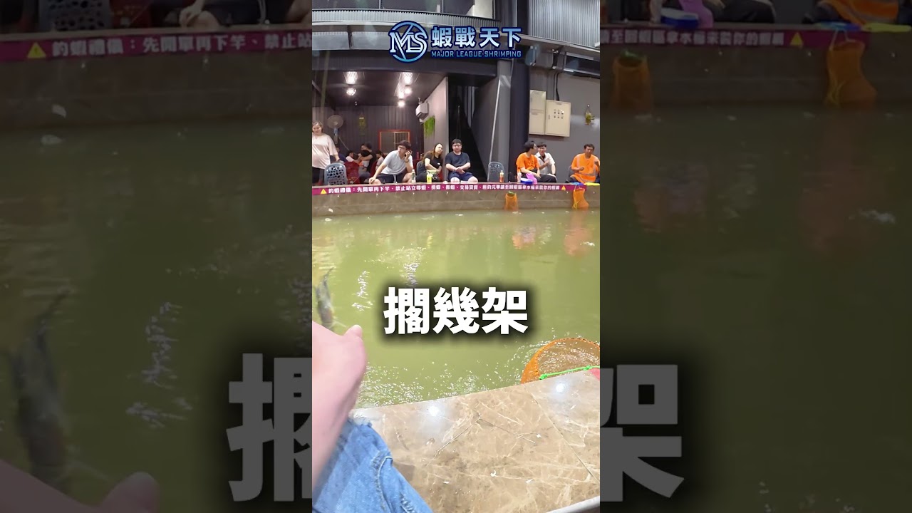 今天這間蝦場Ep.6【MLS蝦戰天下】#17shrimp #台湾のエビ釣り #shrimpfishing #새우낚시