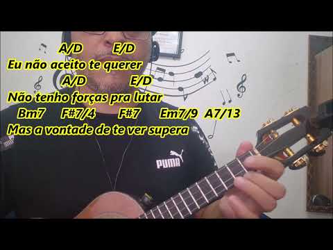 Contatos - Equipe Um Som