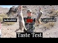 RABBIT HUNT Catch Clean Cook Taste Comparison