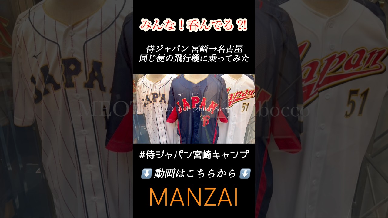 この飛行機に世界一侍ジャパンが乗ったんだ〜✈️#shorts #wbc #侍ジャパン