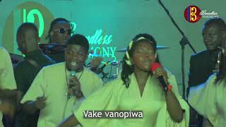 Riripo Gomo raMwari - Boundless Harmony