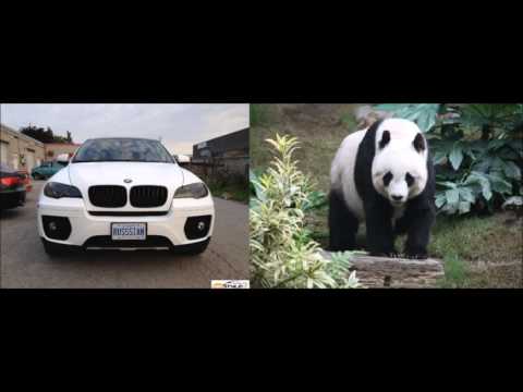 Ali As - Spezi Season