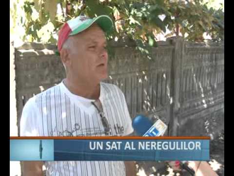 Un sat al neregulilor