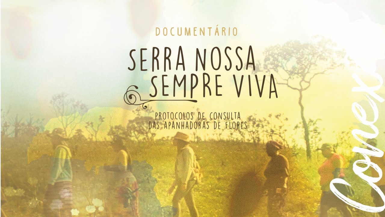 Serra Nossa, Sempre Viva: protocolos de consulta das apanhadoras de flores