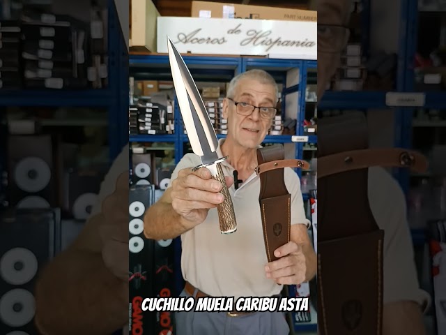 Vídeo relacionado con CARIBU Muela Cuchillo Hoja de Acero MoVa 22 cm y empuñadura de asta de Ciervo para Caza, Pesca, Supervivencia y Bushcraft + Portabotellas de Regalo