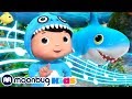 Baby Hai Kinderlieder Und Cartoons Little Baby Bum Moonbug Kids Deutsch