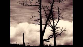 Lost In Desolation - Winter (Sorrow) (Feat. Tim Yatras) (2014)