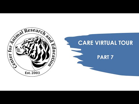 CARE Virtual Tour Part 7: Dahlia & Yolo, Fire, and Melita