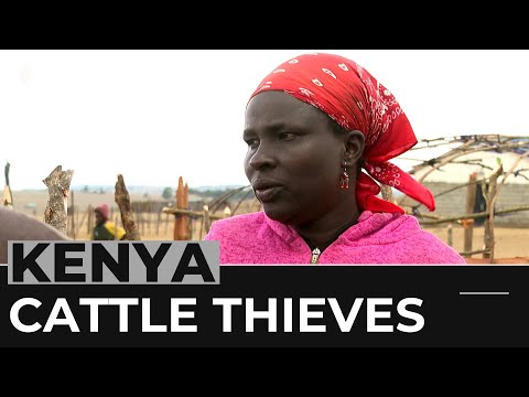 Kenya's cattle raiders: Gov't struggles to tackle lucrative trade