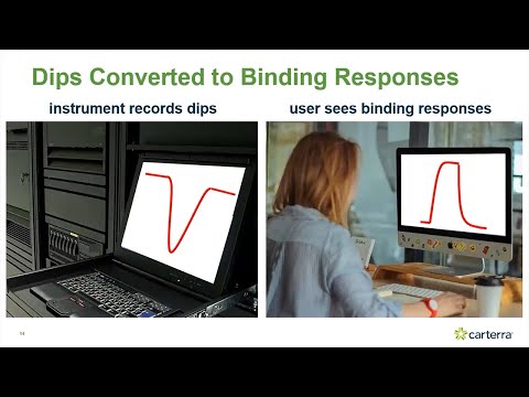 Surface Plasmon Resonance (SPR) Essentials & Principles of High Throughput Kinetic Analysis