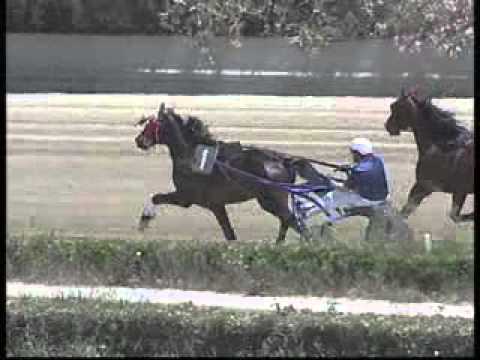 1° PROVA DI QUALIFICA Mt.1620