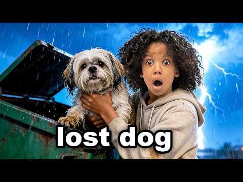 I Found a Puppy at Our Door...