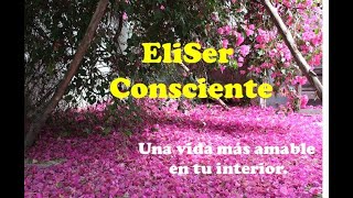 Diseño Web