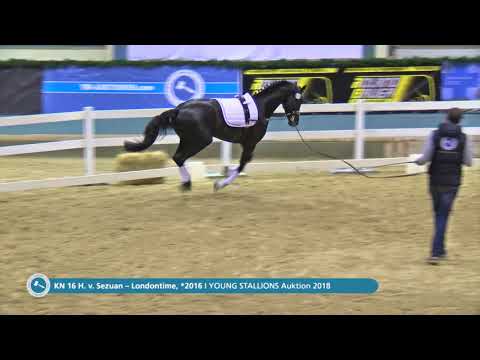 KN 16 v. Sezuan / Londontime - Longe