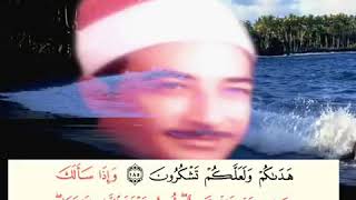 Famous Shaykh Qari Tukhi  الطوخي Quran Recit