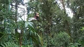 Salto à Tarzan