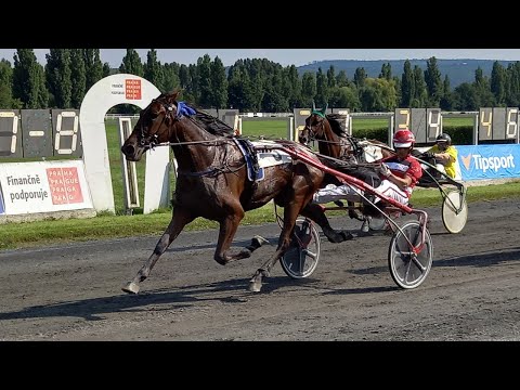 LIVE 🔴 | sobota 2. 10. 2021 – klusácké dostihy Chuchle Arena Praha