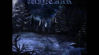 Wintaar - IV (Searching For The New Light) (2017)