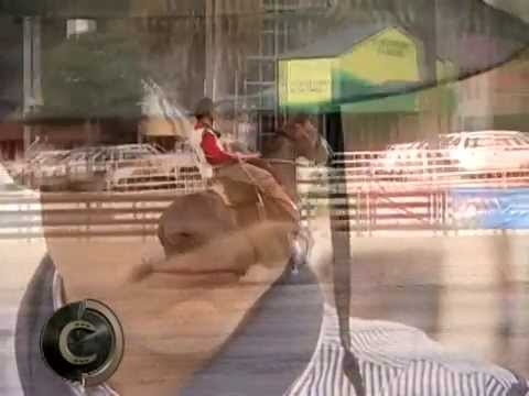 Las Callanas Breeding Farm in the Brake Final.