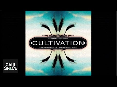 Contineum - Purple Buddha