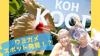 【タイ★旅行】タイの離島シリーズ。ウミガメに出会えるスポット見つけた！？🐢(ENG.SUB)(4K)