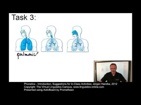 PHO101 - Suggestions for In-Class Activities (Phonetics)