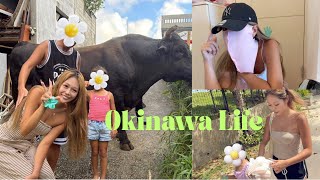 【沖縄移住ママ】母、大激怒。なんでこうなるの⚡️3日間vlog / 小学生ママの日常🌻自炊週間中偉い🍽️🫷🏻