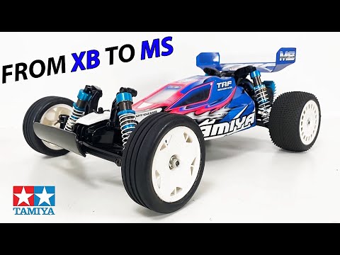 Tamiya DT-02 - XB or MS? (Satoshi Maezumi TRF Upgrade)